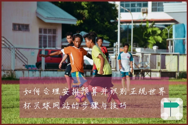 如何合理安排预算并识别正规世界杯买球网站的步骤与技巧