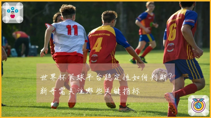 世界杯买球平台稳定性如何判断？新手需关注哪些关键指标