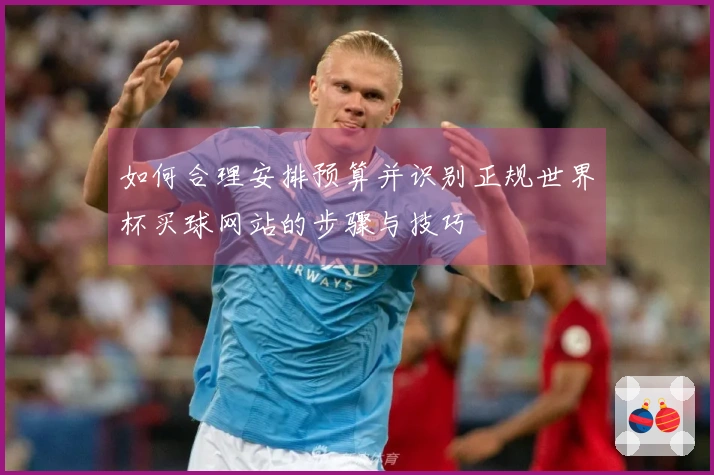如何合理安排预算并识别正规世界杯买球网站的步骤与技巧